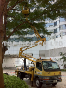 街燈車 - TopRich 高空工程公司